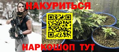 прущая мука Будённовск